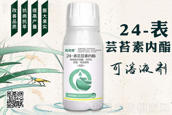 24-表芸苔素内酯有什么作用特点？喜诺康24-表芸苔素内酯效果如何？