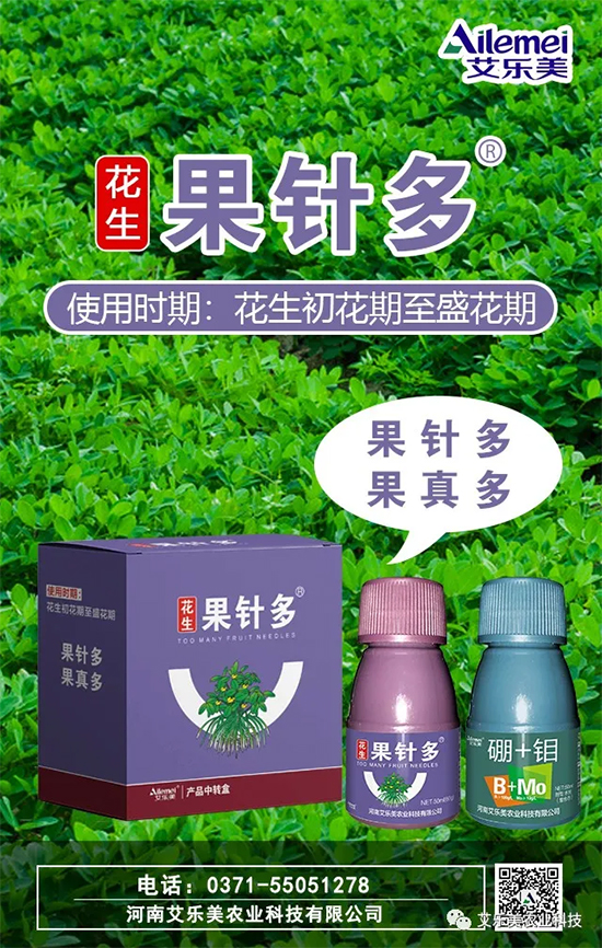 新品上市：花生果针多—果针多，果真多！