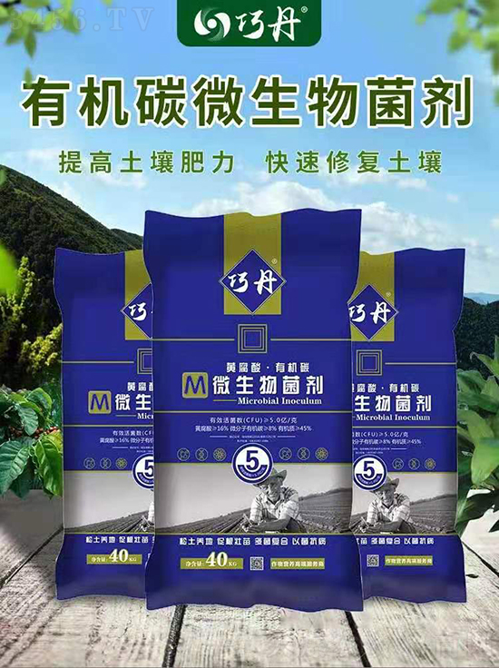 各显神通！微生物菌种大解析！