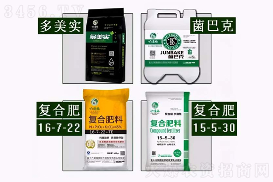 种植小麦如何施底肥？小麦底肥施多少合适？