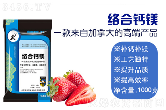 市委市政府、镇政府领导同北京华创天威技术团队到政府扶贫产业基地学习