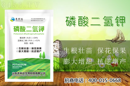 绝了！磷酸二氢钾这样用，利用率高达90%以上！ 